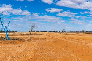 Henry Roberts Drive