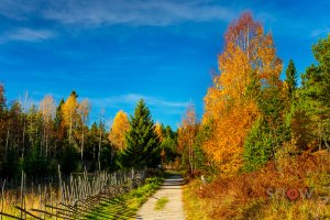 Autumn-Höst-colors