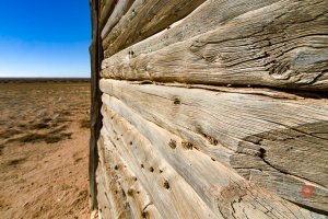 Wool Shed Lines - 2