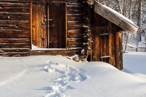 Winter Tracks