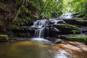 Blue Mountains - Sydney NSW