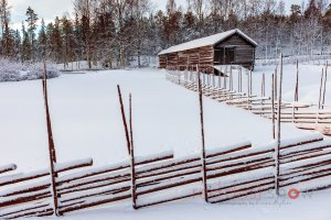 Långlogen Vinter