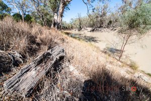 Darling River Redgums Pooncarie Outback NSW