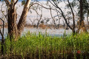 Tandure and Wetherell Lakes