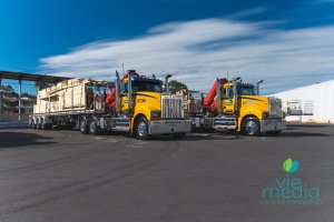MACK Trident 100