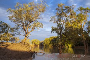 Darling River Glow #02