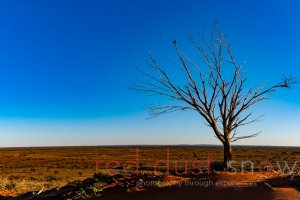 Packsaddle Hill