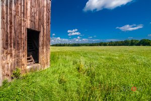 Gotland Barn 02