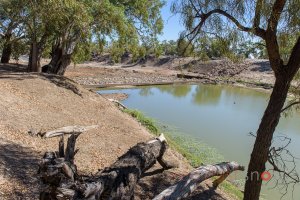 Tilpa Weir - March 2018