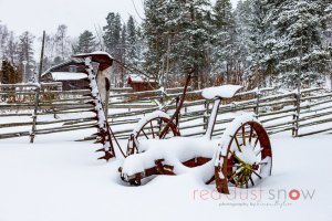 Winter Harvester