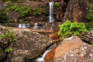 Wentworth Falls