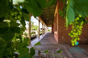 Grape House