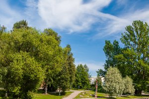 Selånger Summer