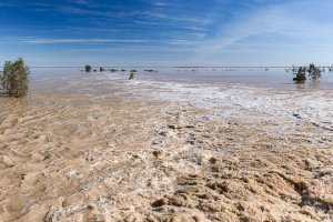 Filling Lake Menindee