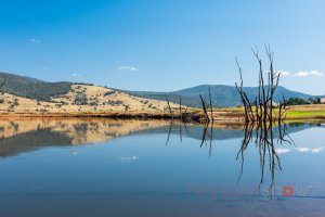 Original course of Murray River exposed with low Lake Hume level