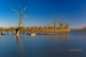 Lake Pamamaroo March 2018