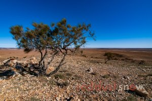 mount-pool-milparinka-02