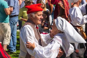 Traditional Dancing