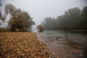 Muuray River at Gadds Bend