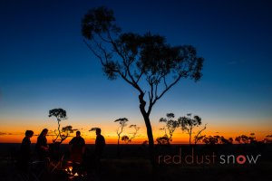 Mt Oxley Night