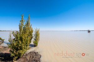 Menindee Lakes