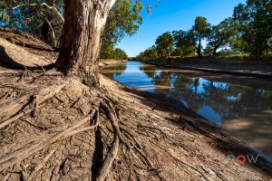 Drought Approaches