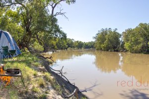 Darling River (Jan 2008) at Trilby Station - Louth, Outback NSW