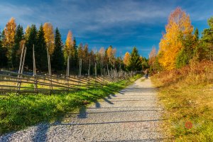 Autumn-Höst-colors