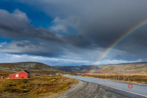 Stokkedalsveien