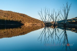 Lake Buffalo #03