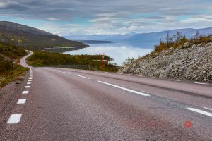 Lone Road