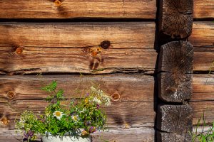 Timber Flowers