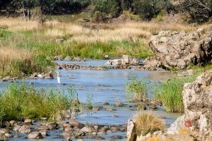 Brewarrina Fish Traps Darling River Outback NSW