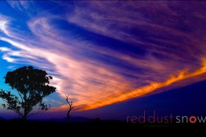 Sunset Silhouette